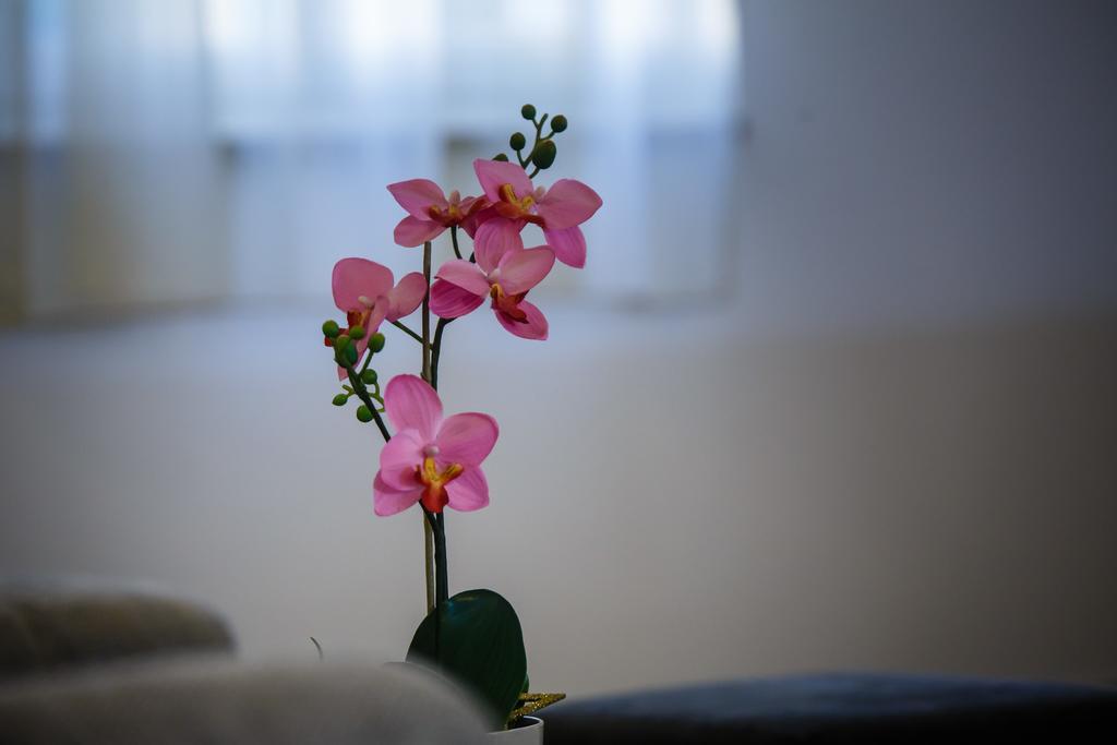 Foric Apartments With Outdoor Heated Pool راب المظهر الخارجي الصورة